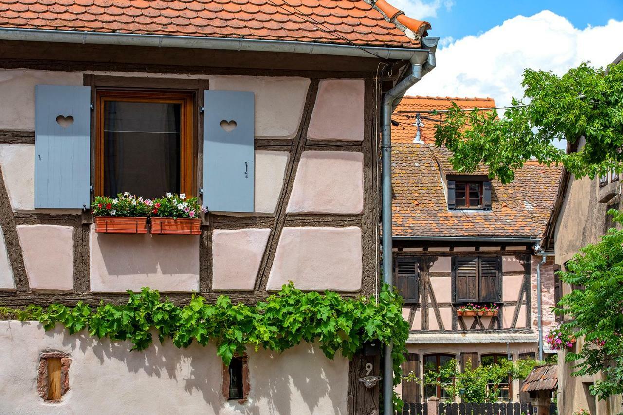 Le Nid De Birsa, 3 Etoiles, Hebergement De Tres Bon Confort Boersch Exterior photo